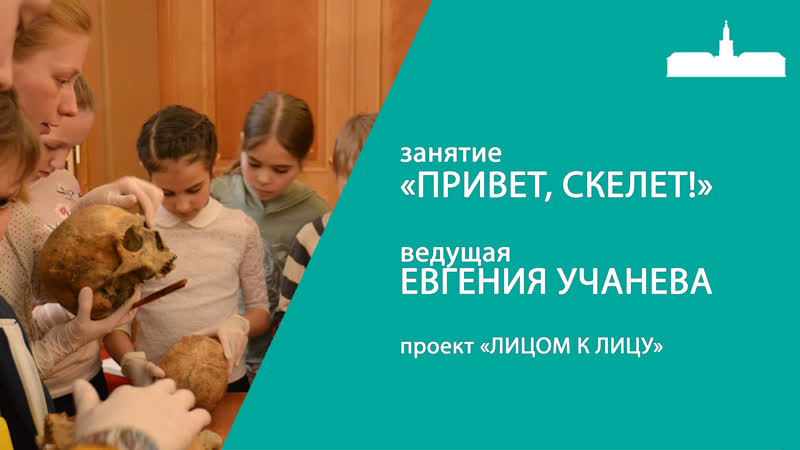 free занятие по физической антропологии для школьников привет скелет hd