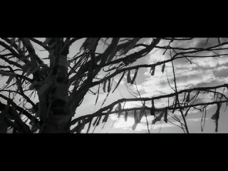 free трейлер к фильму раскрашенная птица the painted bird 2019 hd
