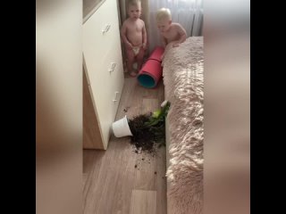 free какой то у мамы цветок не понятный сам прыгает сам падает молодые в шоке hd