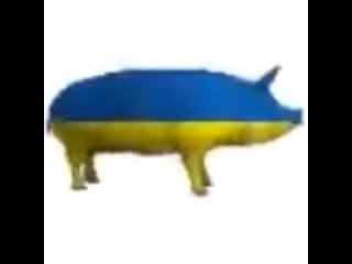 free свинья с окраской флага украины прыгает под песню еби меня по китайский соси хуй мой по туретски hd