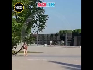 free абсолютно голая особа была замечена там в парке галицкого в краснодаре hd