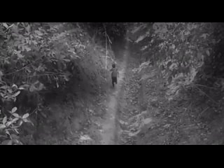 free это видео было записано камерой наблюдения в сентябре 2016 года hd