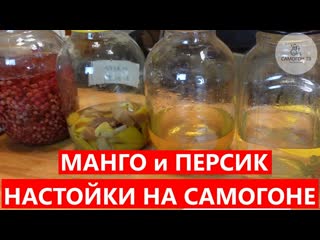 free манго и персик две усные настойки на самогоне секреты настаивания фруктов на самогоне мой опыт hd