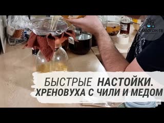 free быстрые настойки домашняя хреновуха с чили перцем и мёдом hd