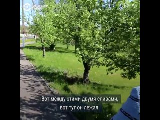 free ну он же не сам туда поехал его отправили я живу в россии я стою на стороне россии я не знаю кто на кого напал hd
