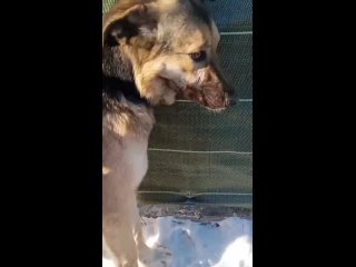 free камилла скромная милая и застенчивая девочка hd