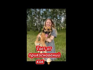 free сложно устоять перед такой милотой адельканаш приютский ребятенок ласковая и бесконечно добрая малышкаготова целиком hd