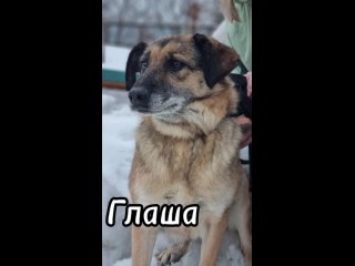 free вспоминая первые робкие прогулки глашине верится что сейчас этот чудесный цветочек так раскрылся она изучает рощу hd
