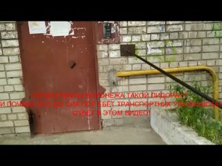 free лифты воронежа просит хуя в свои свиные уста транспортник ульяновска разнес хуем шалаву 1 hd
