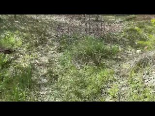 free сучка в черных лосинах согласилась потрахаться в заброшке найди себе шалаву для быстрого секса здесь hd