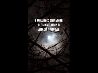 free 9 мощных фильмов о выживании в дикой природе подборка фильмов и сериалов hd