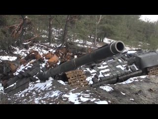free наши парни продолжают бить врага и выполнять поставленные задачи hd