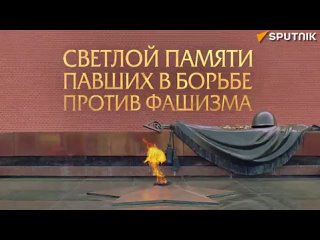 free минута молчания в память о павших в борьбе против фашизма объявлена по всей россии hd
