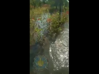 free российские военнослужащие выходят по пояс в воде с позиций которые находились на одном из островов на днепре hd