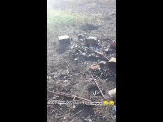 free та сторона очередные контрнаступленцы французский бтр vab и бронеавтомобиль оаэ panthera t6 hd