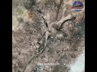 free сочность примерно так можно назвать эту видеоподборку про потери хохлов под маленьким но неприступным работино hd