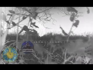 free наши бойцы лупанули по ударному дрону укров судя по всему пташка была напичкана взрывчаткой слава богу не донесла hd