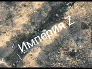 free сьемка позиций всу в районе села вербовое в которых видна перемешка между живыми и мертвыми солдатами противника hd
