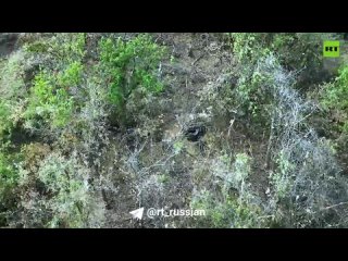 free мы даем достойный отпор это самая главная мотивация не дадим им пройти hd
