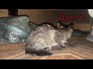free битва с мышами на фронте один из маленьких эпизодов большого процесса hd