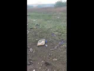 free та сторона чубатый плачется о потерянном бандеромобиле которому стало плохо после прилета hd
