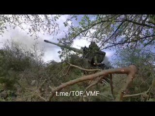 free боевая работа морпехов тоф в честь их профессионального праздника hd