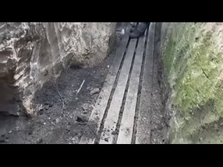 free он не потерял доверия к людям продолжает нести службу и быть рядом с нашими защитниками hd