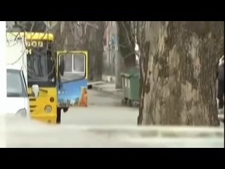 free любопытные кадры работы бойцов ссо россии в симферополе 1 марта 2014 года события крымской весны hd