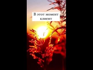 free видео от лазерная эпиляция армавир депиляция cactus kity hd