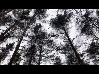 free жена хотела лишь посмотреть что будет но втянулась интересные истории измен hd
