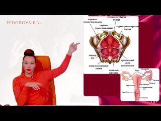 free как накачать интимные мышцы упругая вагина екатерина федорова hd