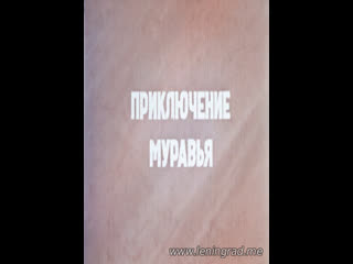 free приключение муравья 1988 грузинская студия научно популярных фильмов hd