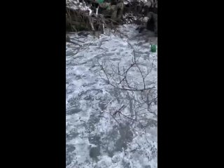 free это видео четко показывает эмоциональное состояние молодые на передовой hd