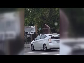 free улицы городов сша голая жирная негритянка залезла на чужой автомобиль hd