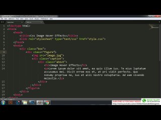 free css image hover effects 6 zoom in zoom out hover effects cool css hover effects tutorial hd