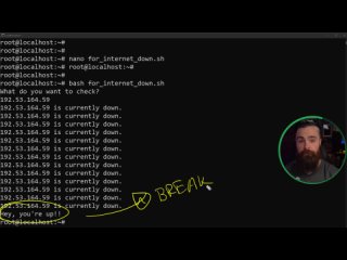free a bash script push up counter for gains hd