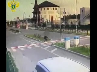 free московская прокуратура опубликовала последнее видео на котором замечена пропавшая фигуриста алина горбачева hd