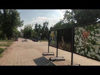 free галерея музея победы открыла выстау яркий мир переездной россии hd