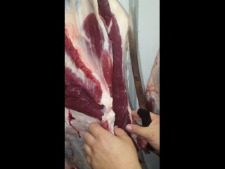 free видео от мясо маркет халяль казань hd