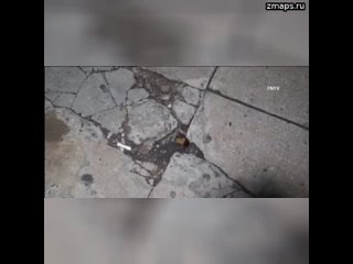 free дыра в тротуаре на манхэттене стала достаточно большой чтобы жители нью йорка могли смотреть вниз и hd