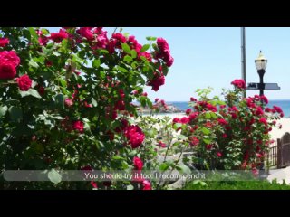 free bikini model vlog gangwon island 비키니 모델 브이로그 강원도편 l 나의 계절이 돌아왔다 hd