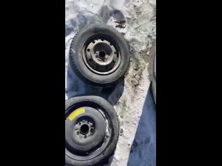 free корейцы и русские братья такую надпись обнаружили на пришедшем из южной кореи автомобиле в порту владивостока hd