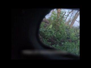 free шо у хохла з ебалом и почему камера вмонтирована в пятачину hd