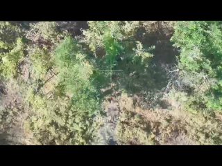 free небесные полночи даже когда у нас наступает день вот эти чубы живут в вечной тьме прятались старались кому то и что hd