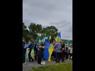 free такая картина сейчас по всей украине на передовую просто как пушечное мясо отправляются очередные эшелоны молодых hd