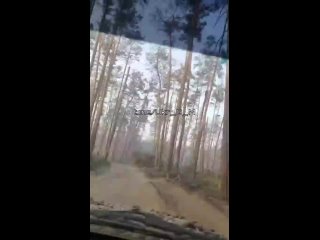 free кременной лес лес чудес зашел с ногами вышел без укрофашисты делятся своими впечатления о местной hd