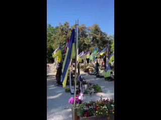 free такая картина сейчас по всей украине на передовую просто как пушечное мясо отправляются очередные эшелоны молодых hd
