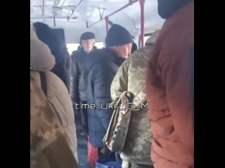 free сотрудники территориальных центров коррупции тцк снова на охоте для отлова простых крестьян hd