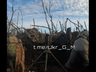 free чубатые пытались покрасоваться и показать себя крутыми при работе с миномётом но как обычно у них и бывает карма hd