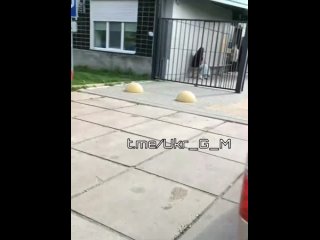 free в черкассах тцкашники приехали к пенсионному фонду набирать добровольцев на фронт ну не за пенсией же душегубы hd